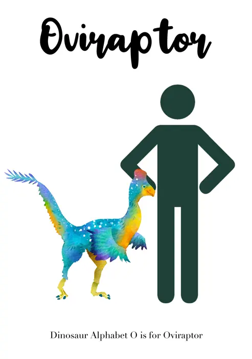 Oviraptor（オヴィラプトル） 恐竜イラスト