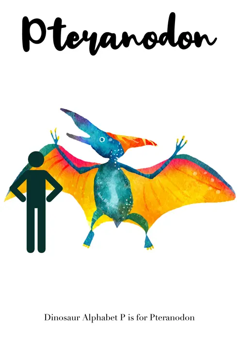 Pteranodon（プテラノドン） 恐竜イラスト